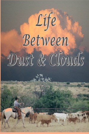 Life Between Dust and Clouds