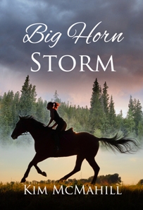 Big Horn Storm